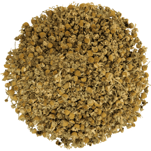 Chamomile