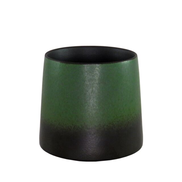 Green Mist Tumbler
