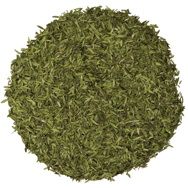Manuka leaf