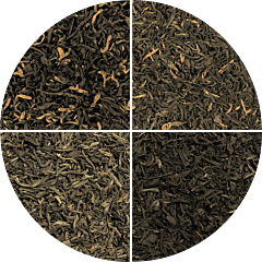 Estate black tea sample selection