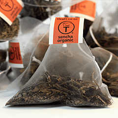 Sencha organic pyramids